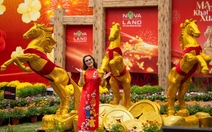 Đêm lung linh, ngày tỏa sắc tại các khu 'đất vàng' TP.HCM thành công viên đón Tết