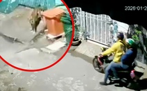 Bắt 2 người dùng súng điện tự chế trộm chó ở An Khánh, TP.HCM