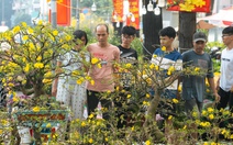 Chợ hoa Tết sôi động ngày 27 tháng Chạp, sức mua khởi sắc