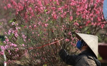 Việt Nam còn đón giao thừa vào 29 Tết thêm mấy năm nữa?