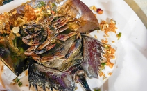 Ra quán kêu con sam, 3 người ăn nghi bị ngộ độc con so