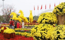 Bộ ba ngựa vàng 'Tam mã phi thiên' ở Đà Nẵng hút khách chiêm ngưỡng, chụp ảnh