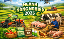 Ngành nông nghiệp lãi lớn, ai đang hụt hơi vì giá heo?