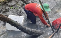 Tát mương ăn Tết với những món cây nhà lá vườn