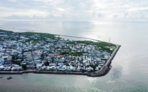 Cà Mau sẽ đầu tư 200 tỉ đồng xây khu neo đậu tàu thuyền tránh trú bão