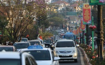 Mùng 4 Tết, Đà Lạt đông đúc, khách sạn treo bảng 'hết phòng' khắp trung tâm