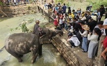 Du lịch Đắk Lắk khởi sắc đầu năm Bính Ngọ