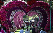 Du lịch Việt bùng nổ dịp Tết