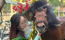 TP.HCM vắng dịp Tết, Thảo cầm viên Sài Gòn vẫn thắng lớn