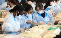 Hàn Quốc đón kỷ lục 305.807 du học sinh, Việt Nam dẫn đầu