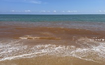 Tìm nguyên nhân nước biển Tam Quan đổi màu đỏ lạ