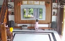 Mẹ chán không buồn nói khi con gái đầu năm 'mở bát' cái tivi mới