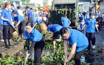 Tháng thanh niên 2026: Tiên phong đổi mới, hành động vì cộng đồng