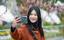 Đến Lạng Sơn ngắm hoa đào xứ Lạng