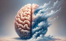 Năm cách giúp bộ não thư giãn hiệu quả