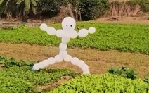 Bù nhìn vườn rau của mẹ, khéo rau sợ cũng không lớn nổi