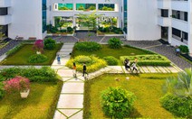 QS Sustainability và THE Impact trong quản trị đại học bền vững