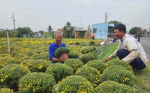 Người dân Vĩnh Long ùn ùn đổ xô đi xin giấy xác nhận nguồn gốc hoa, cây kiểng