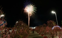 Pháo hoa rực sáng tại Vinhomes Green Paradise Cần Giờ, khai lễ hội xuân