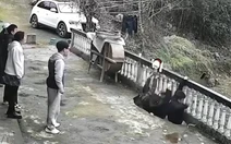 May có camera ghi lại, chứ không là về kể không ai tin