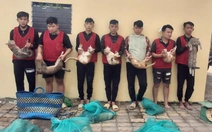 Triệt phá nhóm trộm mèo lớn ở TP.HCM, chuyên dụ mèo bằng... cá chiên