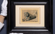 Tranh của Rembrandt lập kỷ lục đấu giá, tiền sẽ để bảo tồn giống mèo lớn