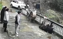 May có camera ghi lại, chứ không là về kể không ai tin