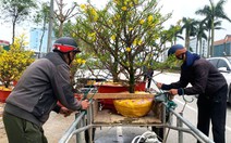 Cuối năm thu nhập khấm khá bằng nghề ‘chở Tết về nhà’