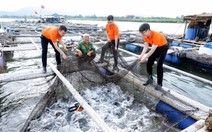 Khi mỗi giao dịch tài chính cũng phản ánh lối sống ‘Xanh’