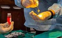 Người đứng đầu bệnh viện phải chịu trách nhiệm nếu hiến, ghép tạng không đúng quy định