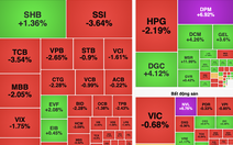 Cổ phiếu Vinaconex tăng trần 3 phiên sau tin lãnh đạo bị bắt, VN-Index 'đỏ lửa'