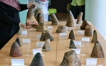 Nam Phi bắt chủ trang trại người Việt Chu Dang Khoa vì buôn lậu sừng tê giác