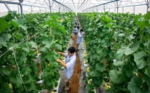 Trường đại học Cửu Long: Tuyển sinh đa ngành, nhiều chính sách hỗ trợ sinh viên