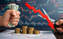 Mắc kẹt khi cổ phiếu bất ngờ giảm sâu: Nên giữ hay cắt lỗ?