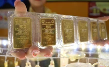 Giá vàng miếng SJC tăng 1,6 triệu đồng/lượng