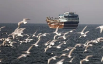 Tàu của nước nào qua eo biển Hormuz an toàn từ đầu chiến sự?
