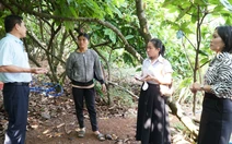 Chó nghi dại cắn bố con chủ nhà và 3 hàng xóm, Đắk Lắk hỏa tốc phòng chống bệnh dại