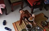 Khoảnh khắc cụ bà 95 tuổi có gì mà thu hút 2,5 triệu lượt xem