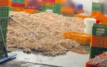 Cơ sở đồ ăn vặt Trung Quốc ngâm chân gà bằng hóa chất, dư luận phẫn nộ