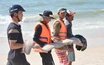 Cá rồng biển quý hiếm trôi dạt vào biển Mũi Né