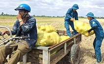 Tìm đầu ra suôn sẻ cho nông sản