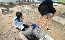 Cây xăng ở Cần Thơ bán giá cao hơn giá niêm yết bị phạt 50 triệu đồng