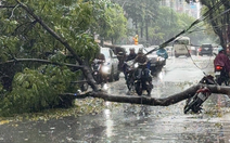 Cây xanh bật gốc giữa trời mưa, đè trúng người đi xe máy ở Hà Nội