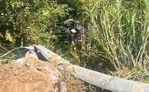 Xe khách lao xuống vực ở Tam Đảo, ít nhất 7 người nhập viện