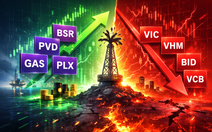 Dầu khí bứt phá kịch trần, VN-Index vẫn chìm trong sắc đỏ