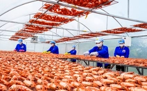 Cà Mau thực hiện ‘5 thông’ trong phát triển doanh nghiệp