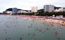 TP.HCM giao nhiệm vụ chủ đầu tư metro Vũng Tàu - Bà Rịa - Phú Mỹ