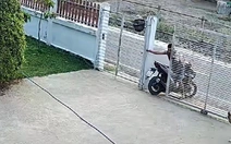 Ông chủ lùi xe máy ra cổng kiểu ngược đời để chó cưng không theo