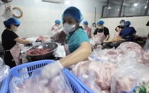 Kiểm tra đột xuất doanh nghiệp liên quan đường dây tiêu thụ gần 300 tấn heo bệnh