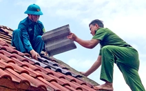 Khẩn trương khắc phục hậu quả lốc xoáy ở Ba Vì